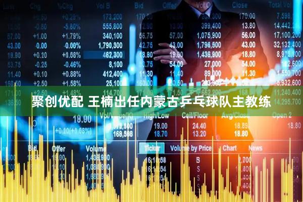 聚创优配 王楠出任内蒙古乒乓球队主教练